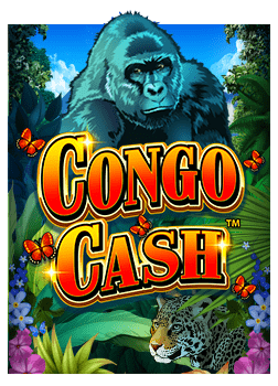 รีวิว บา คา ร่า 199joker1888 เข้า สู่ ระบบ: ประสบการณ์ใหม่ที่แตกต่าง